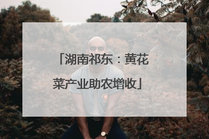 湖南祁东：黄花菜产业助农增收