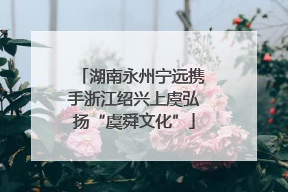 湖南永州宁远携手浙江绍兴上虞弘扬“虞舜文化”