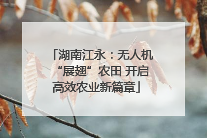 湖南江永：无人机“展翅”农田 开启高效农业新篇章