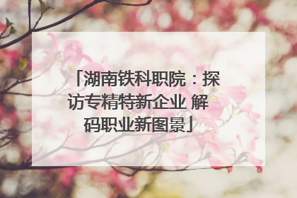 湖南铁科职院：探访专精特新企业 解码职业新图景