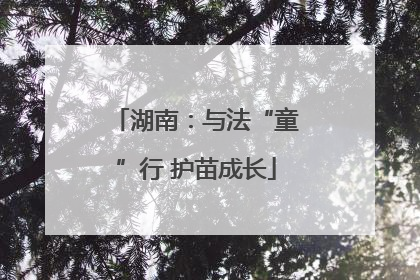 湖南：与法“童”行 护苗成长