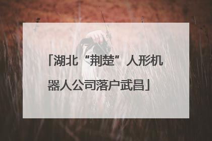 湖北“荆楚”人形机器人公司落户武昌