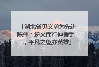 湖北省见义勇为先进陈伟：逆火而行伸援手，平凡之躯亦英雄