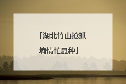 湖北竹山抢抓墒情忙夏种