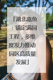 湖北嘉鱼：锚定满园工程，多维度发力推动园区高质量发展