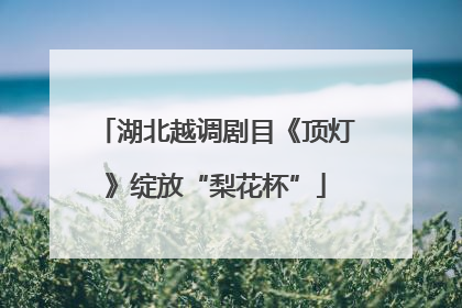 湖北越调剧目《顶灯》绽放“梨花杯”