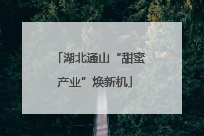 湖北通山“甜蜜产业”焕新机