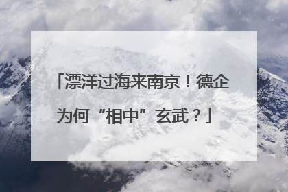 漂洋过海来南京！德企为何“相中”玄武？