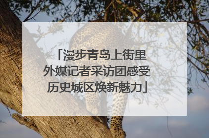 漫步青岛上街里 外媒记者采访团感受历史城区焕新魅力
