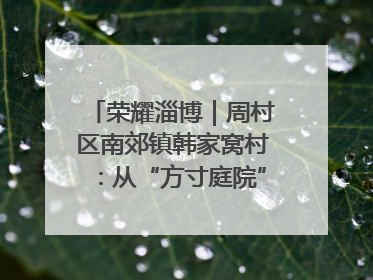 荣耀淄博｜周村区南郊镇韩家窝村：从“方寸庭院”到“全域文明”，乡村振兴的“美学革命”