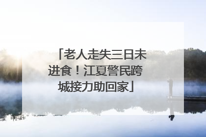 老人走失三日未进食！江夏警民跨城接力助回家