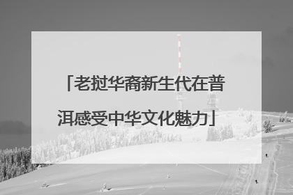 老挝华裔新生代在普洱感受中华文化魅力