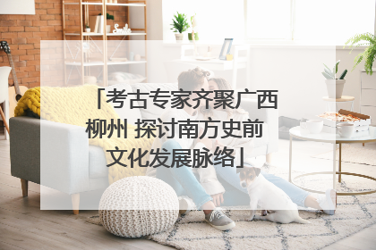考古专家齐聚广西柳州 探讨南方史前文化发展脉络