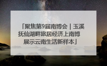 聚焦第9届南博会｜玉溪抚仙湖畔旅居经济上南博 展示云南生活新样本
