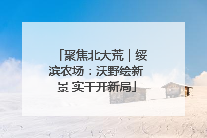 聚焦北大荒｜绥滨农场：沃野绘新景 实干开新局