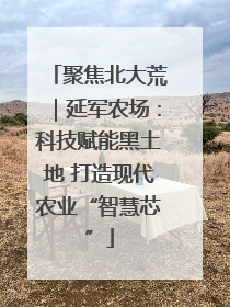 聚焦北大荒｜延军农场：科技赋能黑土地 打造现代农业“智慧芯”
