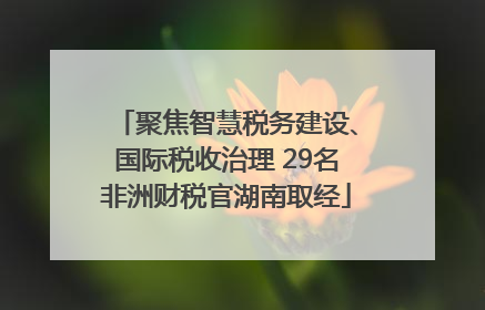 聚焦智慧税务建设、国际税收治理 29名非洲财税官湖南取经