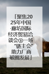 聚焦2025年中国·廊坊国际经济贸易洽谈会③一场“链主会” 助力厂商破圈发展