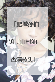 肥城孙伯镇：山村油杏满枝头