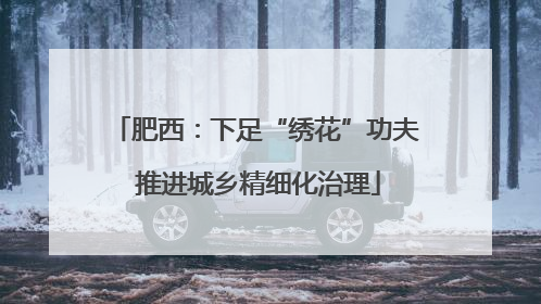 肥西：下足“绣花”功夫 推进城乡精细化治理