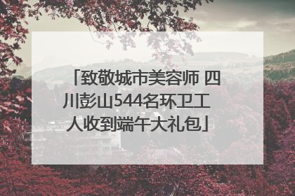 致敬城市美容师 四川彭山544名环卫工人收到端午大礼包