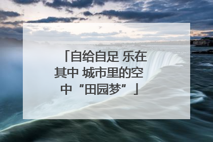 自给自足 乐在其中 城市里的空中“田园梦”