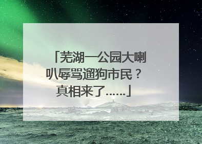 芜湖一公园大喇叭辱骂遛狗市民？真相来了……