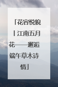 花容悦貌丨江南五月花——邂逅端午草木诗情