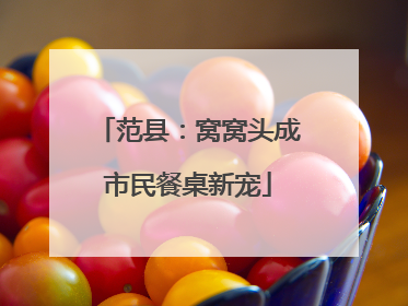 范县：窝窝头成市民餐桌新宠