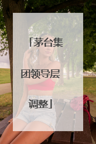 茅台集团领导层调整