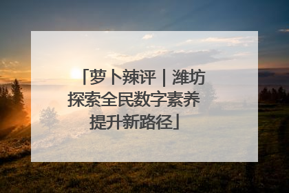 萝卜辣评｜潍坊探索全民数字素养提升新路径