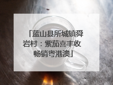 蓝山县所城镇舜岩村：紫茄喜丰收 畅销粤港澳