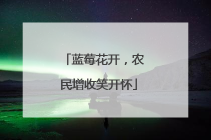 蓝莓花开，农民增收笑开怀