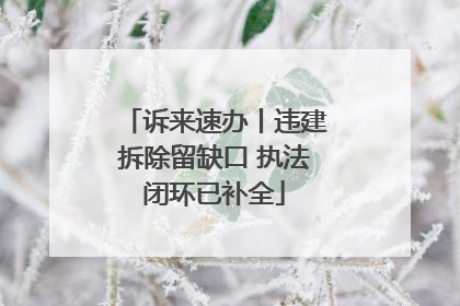 诉来速办丨违建拆除留缺口 执法闭环已补全