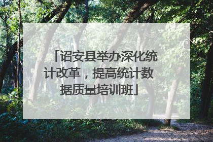 诏安县举办深化统计改革，提高统计数据质量培训班