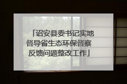 诏安县委书记实地督导省生态环保督察反馈问题整改工作