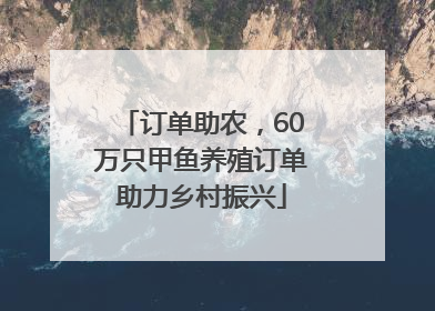 订单助农，60万只甲鱼养殖订单助力乡村振兴