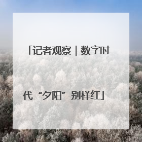 记者观察｜数字时代“夕阳”别样红
