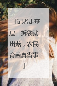 记者走基层｜拆袋就出菇，农民育菌真省事