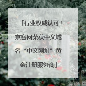 行业权威认可！京客网荣获中文域名“中文网址”黄金注册服务商