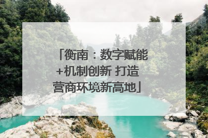 衡南：数字赋能+机制创新 打造营商环境新高地