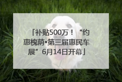 补贴500万！“约惠槐荫•第三届惠民车展”6月14日开幕