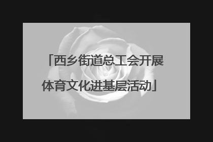 西乡街道总工会开展体育文化进基层活动