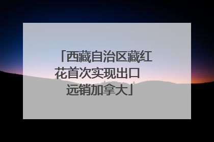 西藏自治区藏红花首次实现出口 远销加拿大