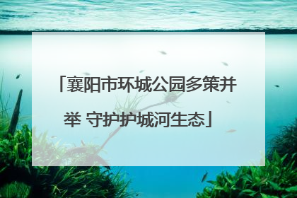 襄阳市环城公园多策并举 守护护城河生态
