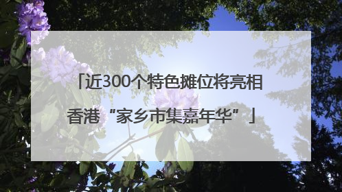 近300个特色摊位将亮相香港“家乡市集嘉年华”