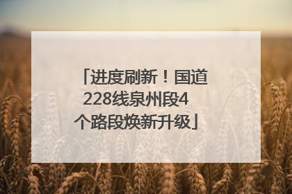 进度刷新！国道228线泉州段4个路段焕新升级