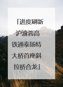 进度刷新 沪渝蓉高铁通泰扬特大桥首座斜拉桥合龙