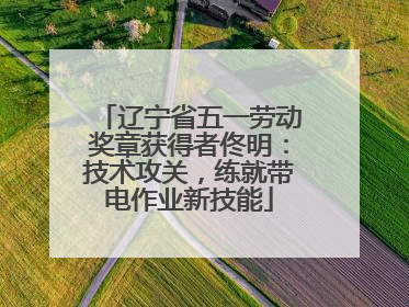 辽宁省五一劳动奖章获得者佟明：技术攻关，练就带电作业新技能