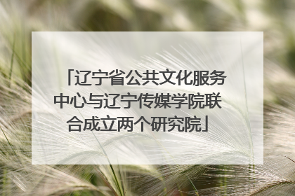 辽宁省公共文化服务中心与辽宁传媒学院联合成立两个研究院